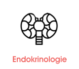 endokrinologie