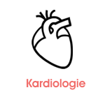 kardiologie